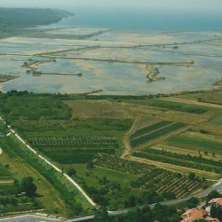 شقة Apartmaji In Vinogradnistvo Klobas Sečovlje المظهر الخارجي الصورة