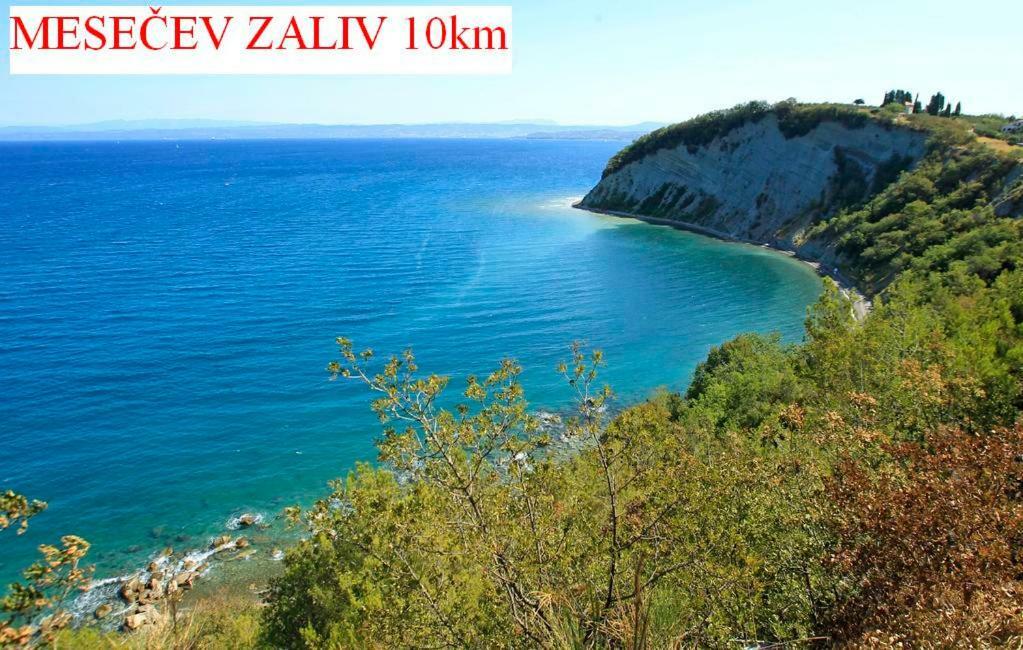 شقة Apartmaji In Vinogradnistvo Klobas Sečovlje المظهر الخارجي الصورة